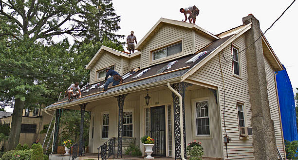 Best Roof Maintenance Services  in Gunter, TX